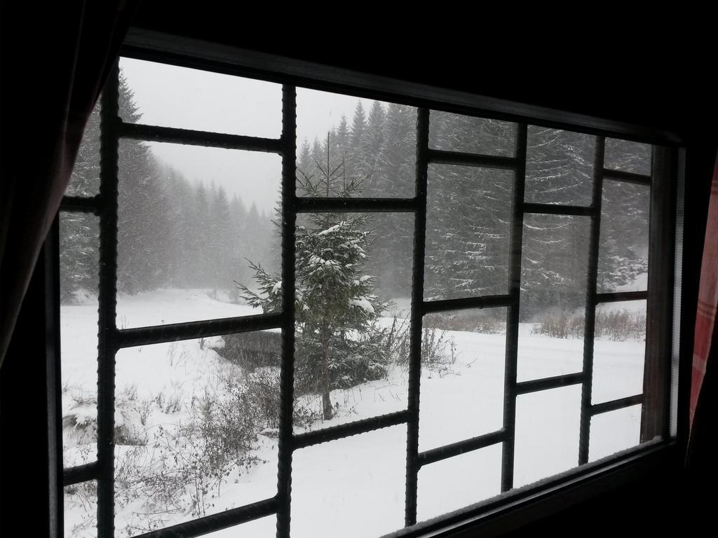 Cabana Pietricica Dîmbovicioara Exteriör bild