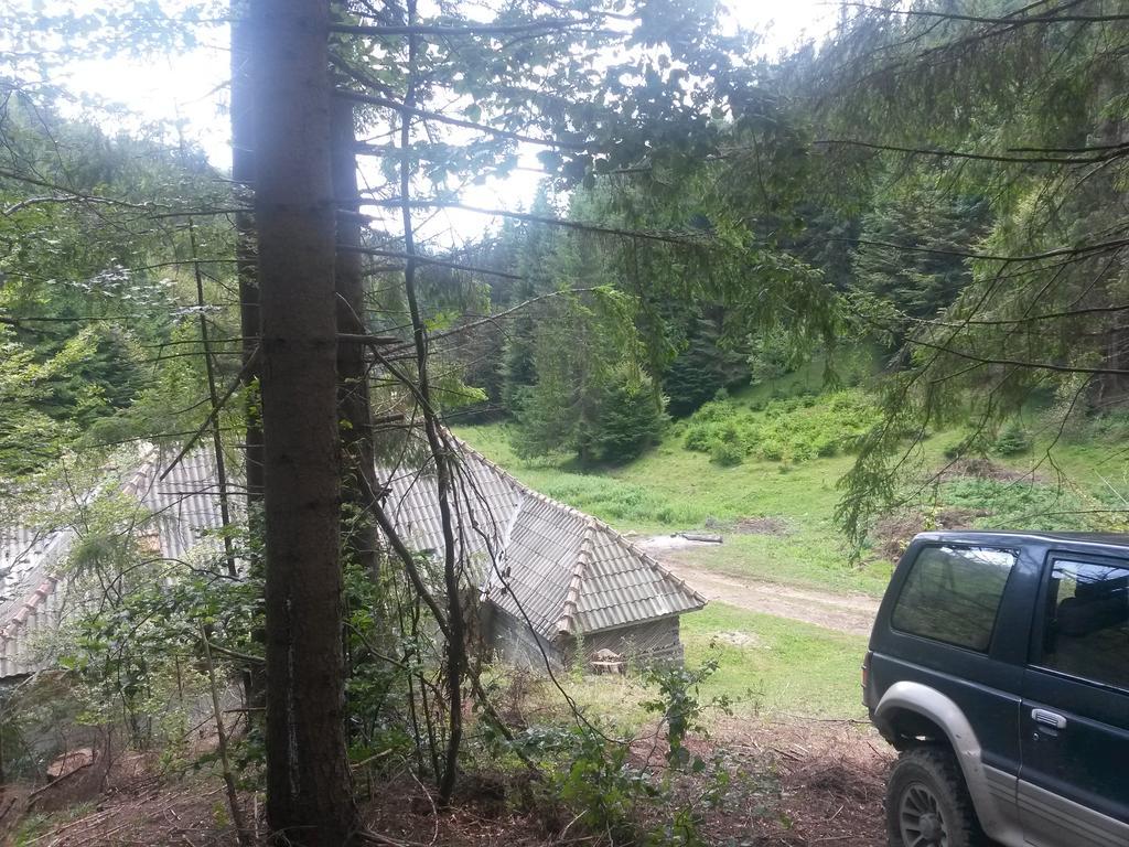 Cabana Pietricica Dîmbovicioara Exteriör bild