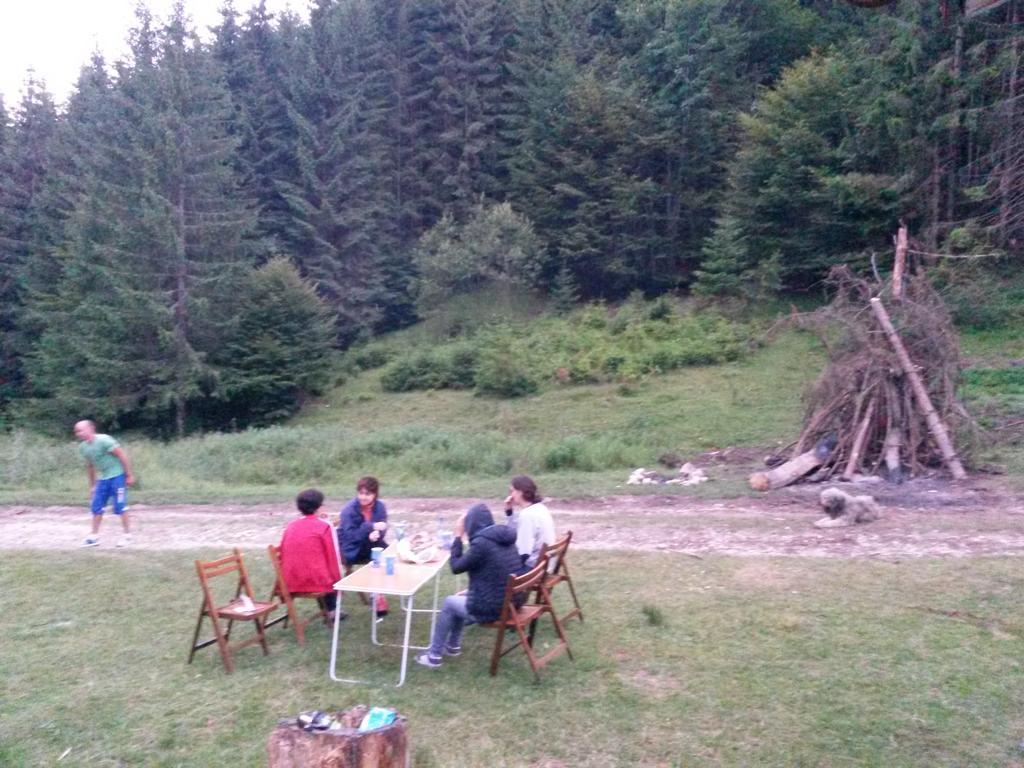 Cabana Pietricica Dîmbovicioara Exteriör bild