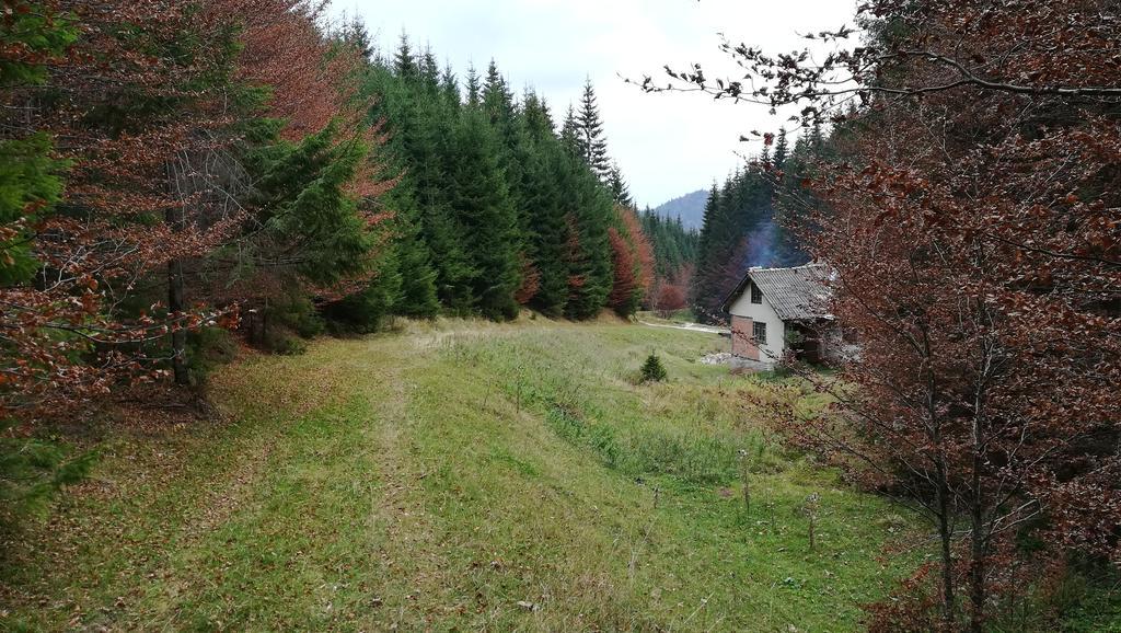 Cabana Pietricica Dîmbovicioara Exteriör bild