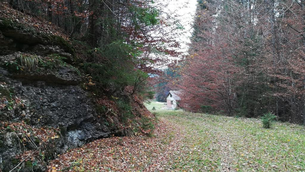 Cabana Pietricica Dîmbovicioara Exteriör bild