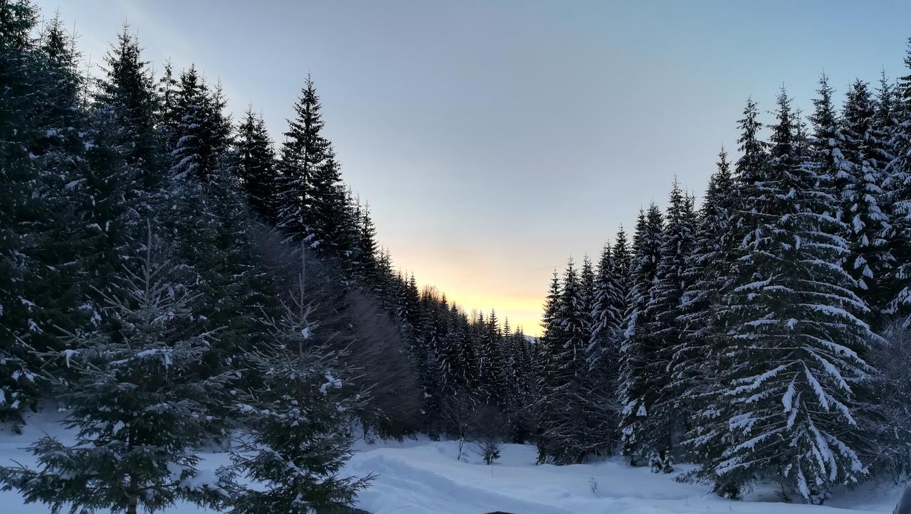 Cabana Pietricica Dîmbovicioara Exteriör bild