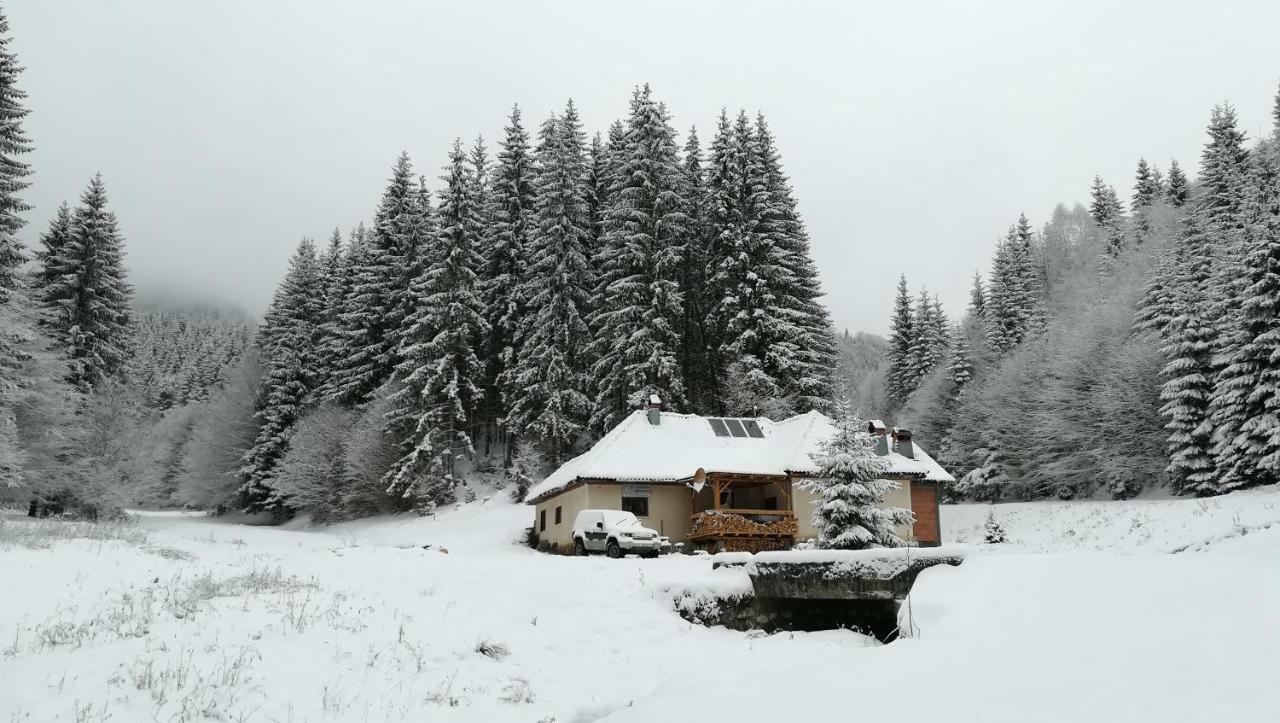 Cabana Pietricica Dîmbovicioara Exteriör bild