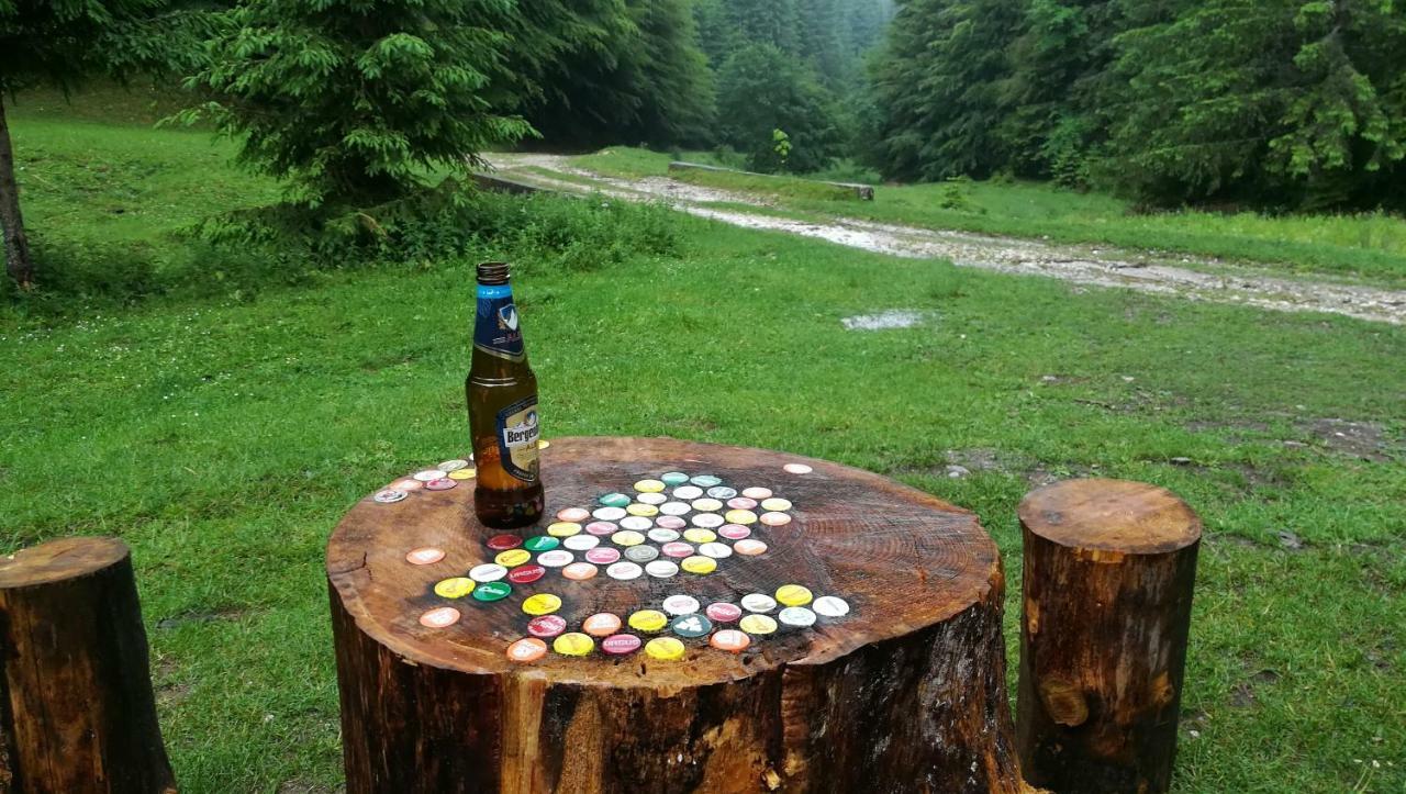 Cabana Pietricica Dîmbovicioara Exteriör bild