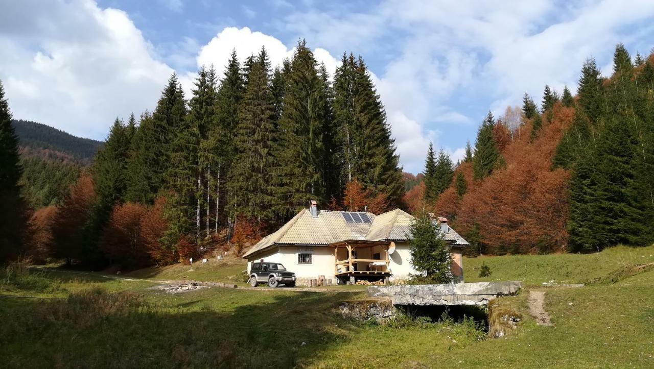 Cabana Pietricica Dîmbovicioara Exteriör bild