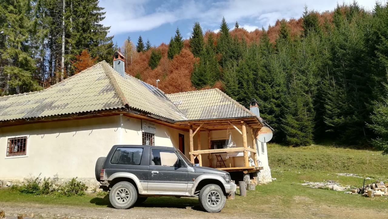 Cabana Pietricica Dîmbovicioara Exteriör bild
