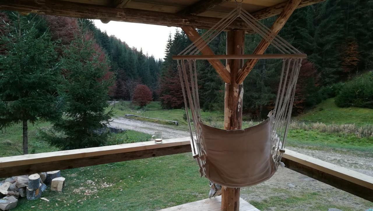 Cabana Pietricica Dîmbovicioara Exteriör bild