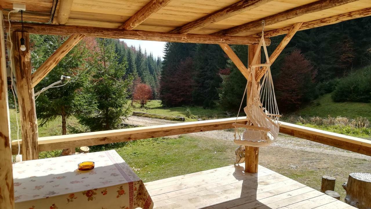 Cabana Pietricica Dîmbovicioara Exteriör bild