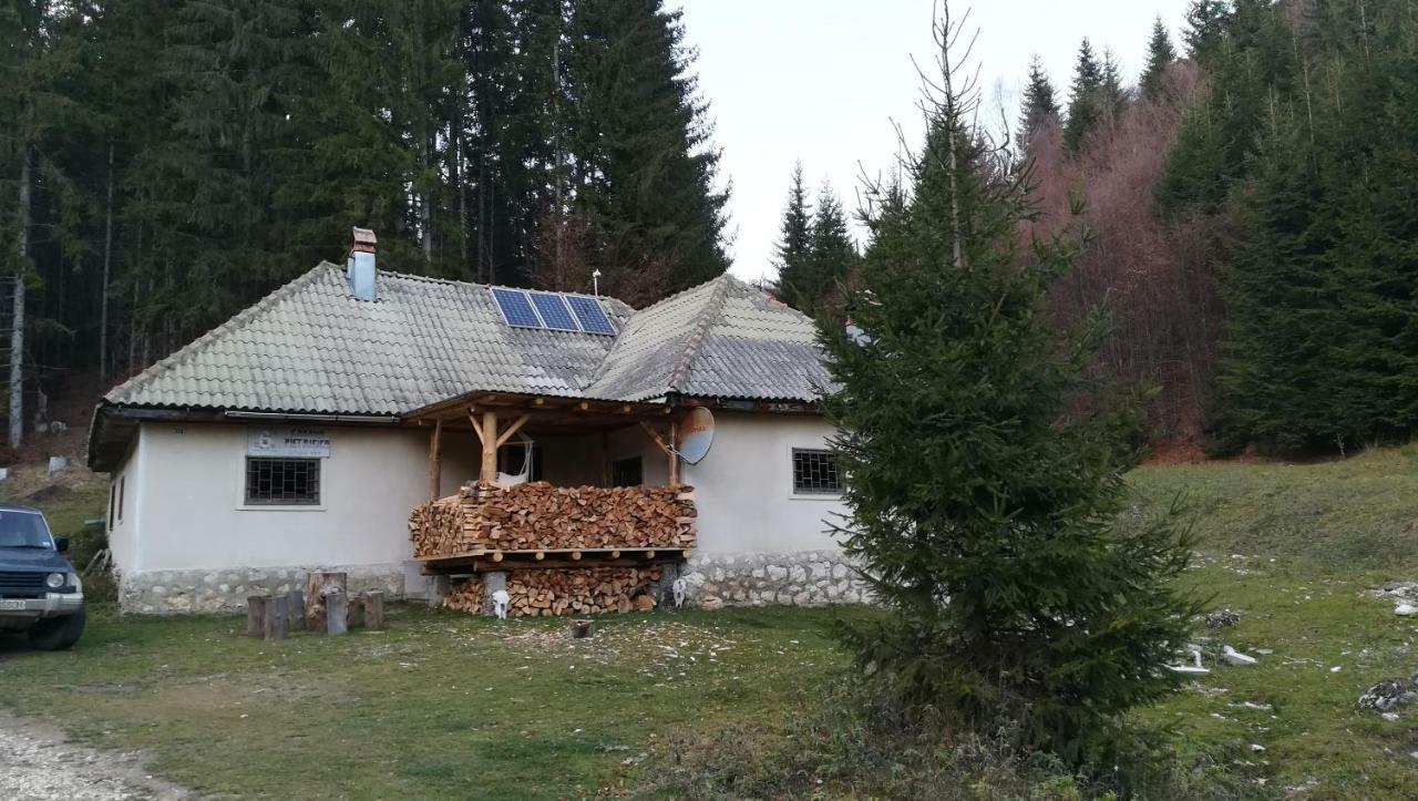 Cabana Pietricica Dîmbovicioara Exteriör bild