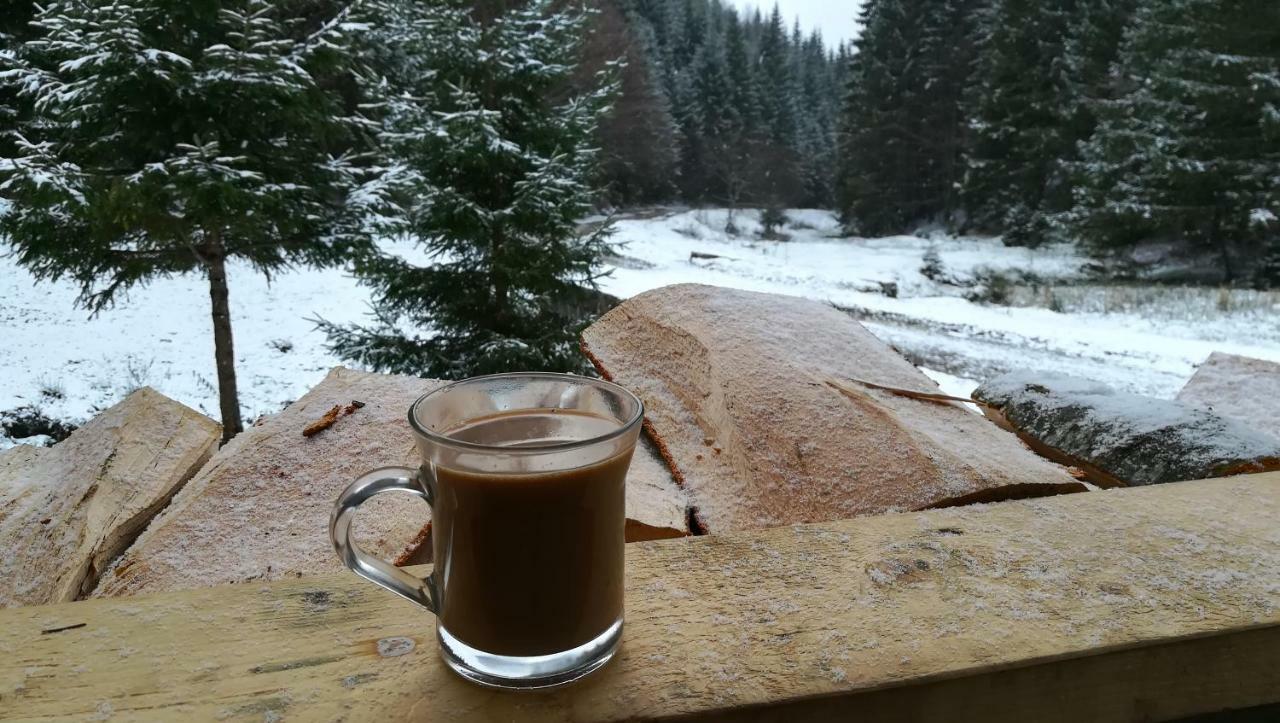 Cabana Pietricica Dîmbovicioara Exteriör bild