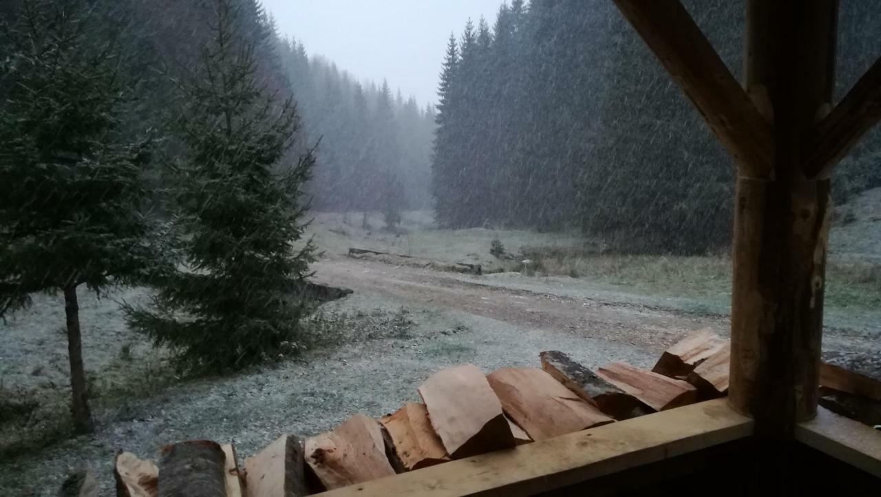 Cabana Pietricica Dîmbovicioara Exteriör bild