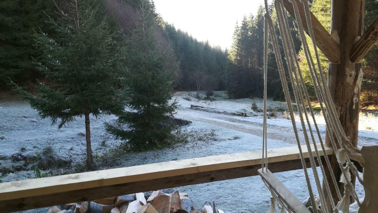 Cabana Pietricica Dîmbovicioara Exteriör bild