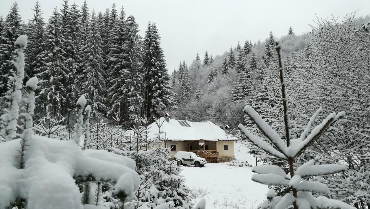Cabana Pietricica Dîmbovicioara Exteriör bild