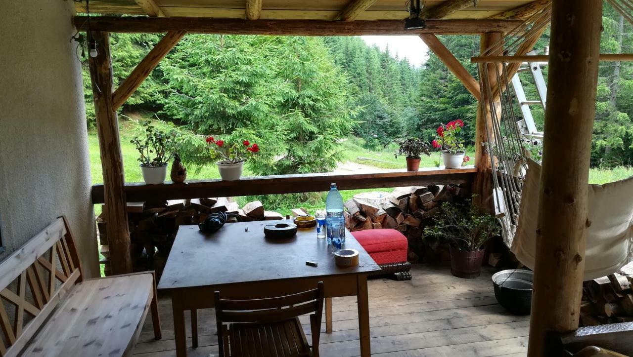 Cabana Pietricica Dîmbovicioara Exteriör bild