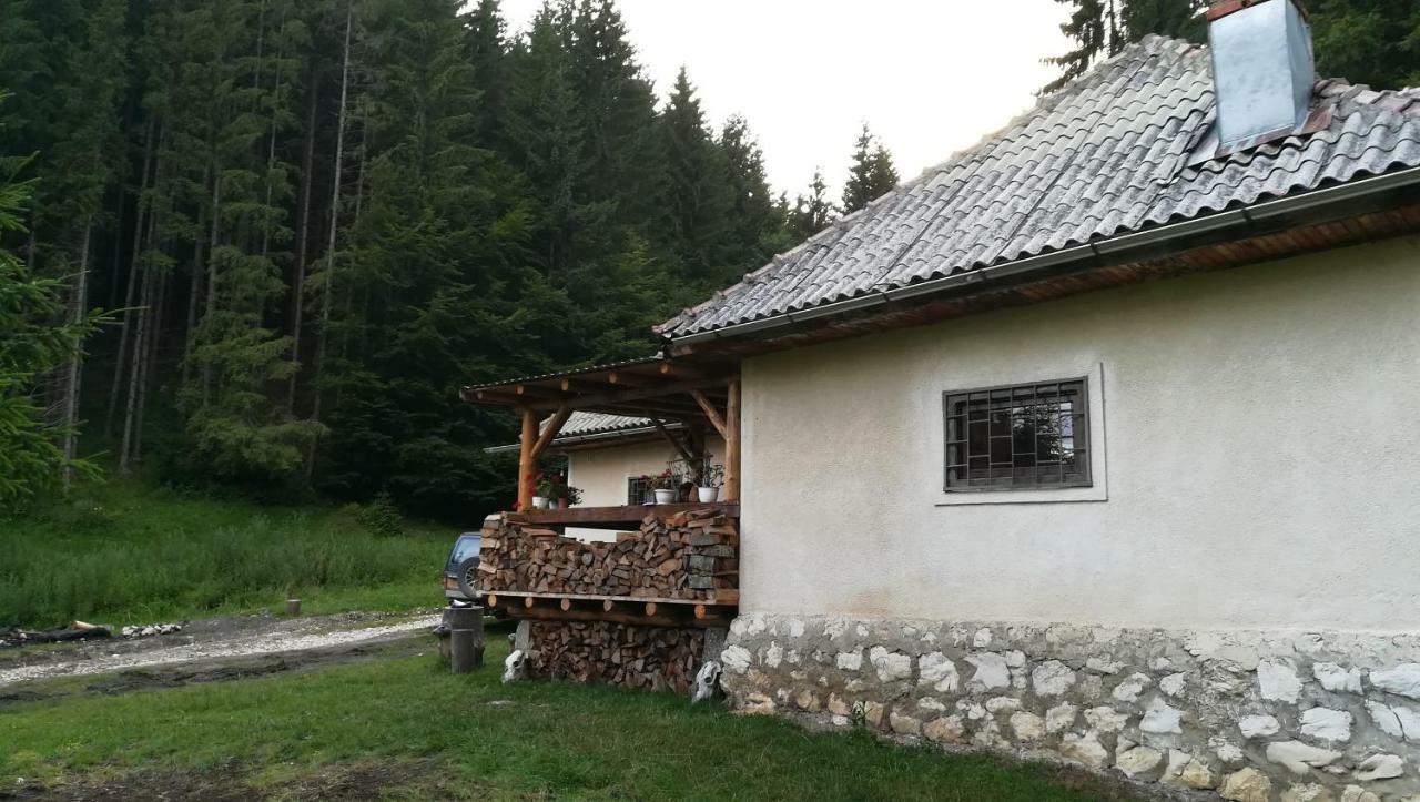 Cabana Pietricica Dîmbovicioara Exteriör bild