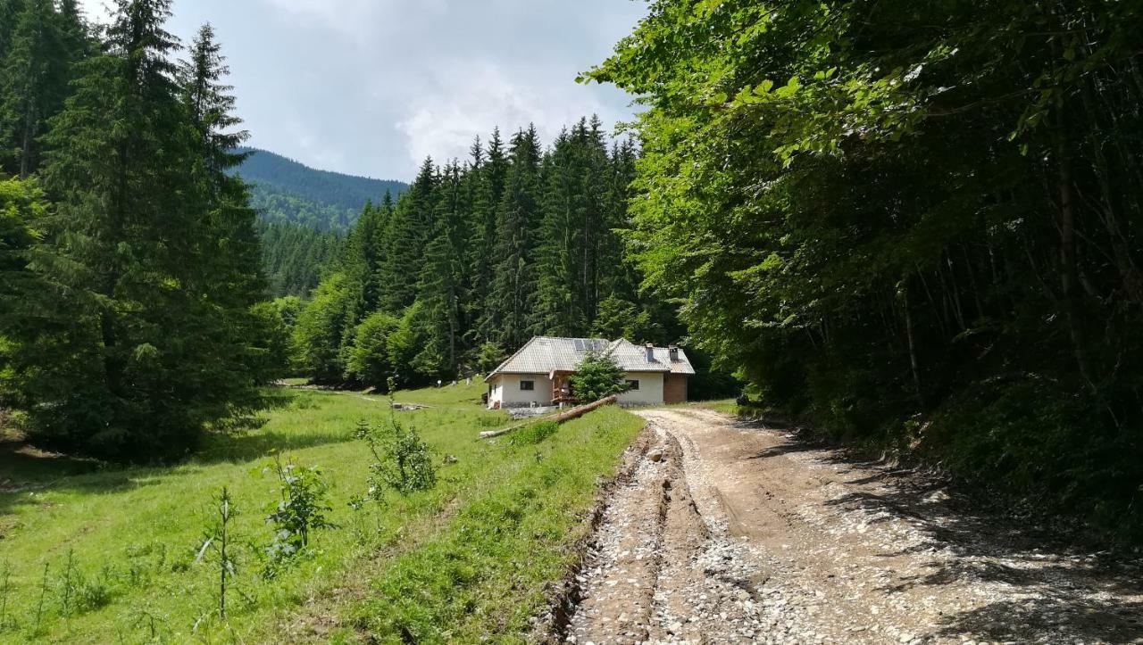 Cabana Pietricica Dîmbovicioara Exteriör bild