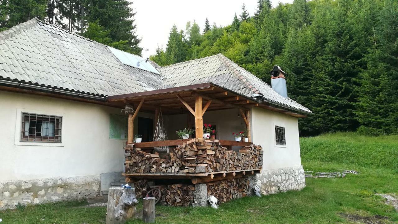 Cabana Pietricica Dîmbovicioara Exteriör bild
