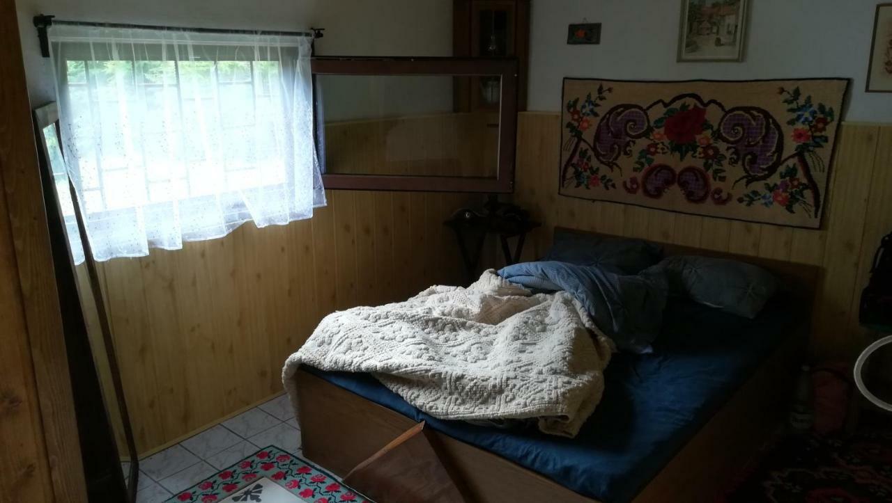 Cabana Pietricica Dîmbovicioara Exteriör bild