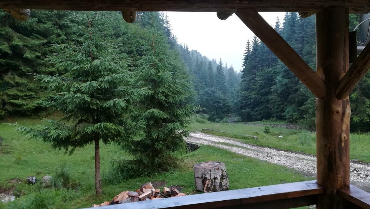 Cabana Pietricica Dîmbovicioara Exteriör bild