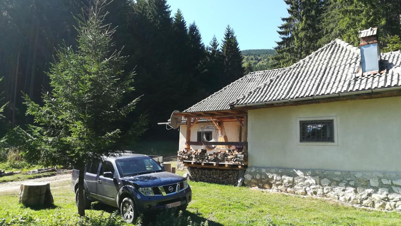 Cabana Pietricica Dîmbovicioara Exteriör bild