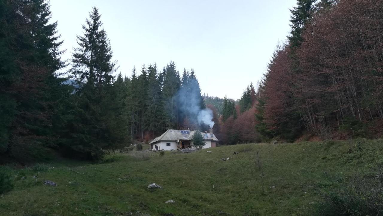 Cabana Pietricica Dîmbovicioara Exteriör bild