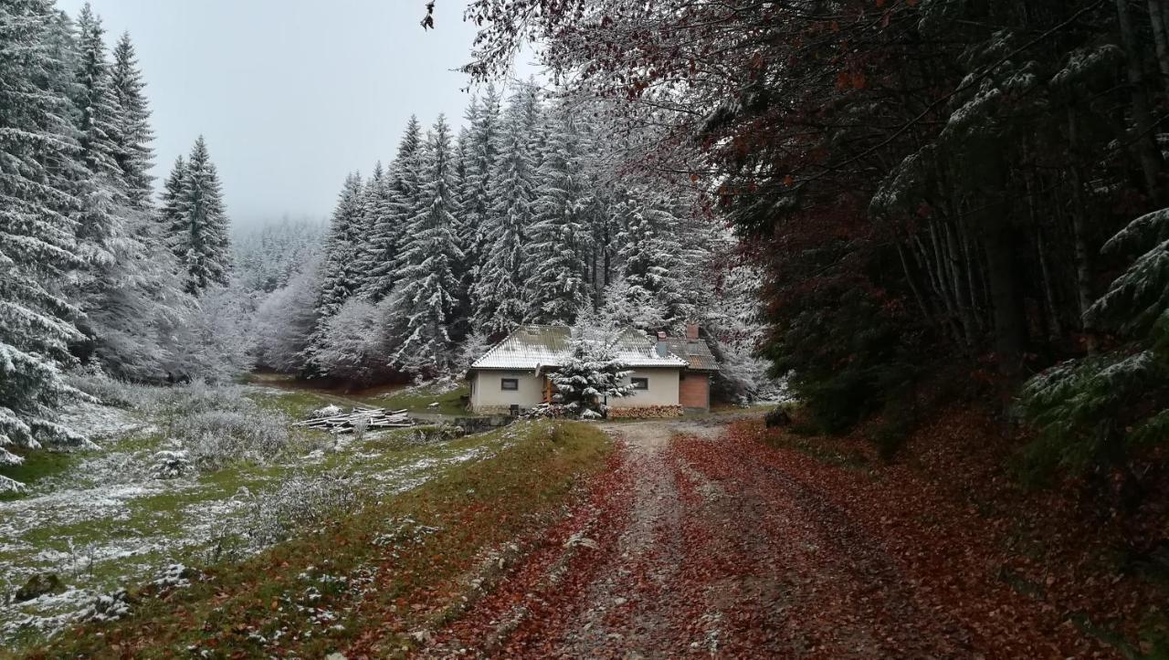 Cabana Pietricica Dîmbovicioara Exteriör bild
